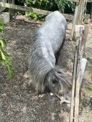 大石神社(京都府)