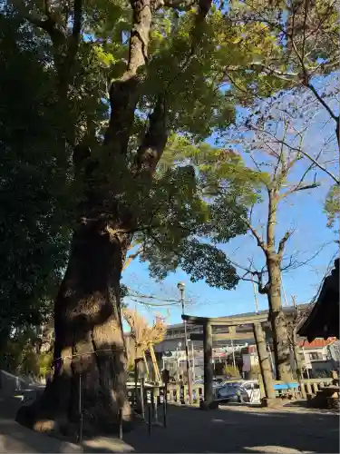 五所神社(神奈川県)