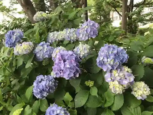 西野神社の自然