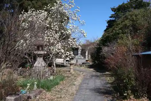 明眼院(愛知県)