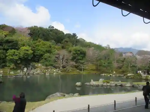 天龍寺の庭園