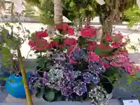 三津厳島神社(愛媛県)