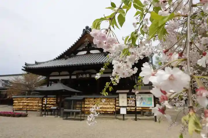 安倍文殊院 の本殿・本堂