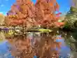 武蔵一宮氷川神社(埼玉県)