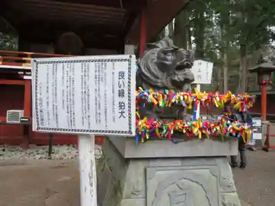 日光二荒山神社の狛犬
