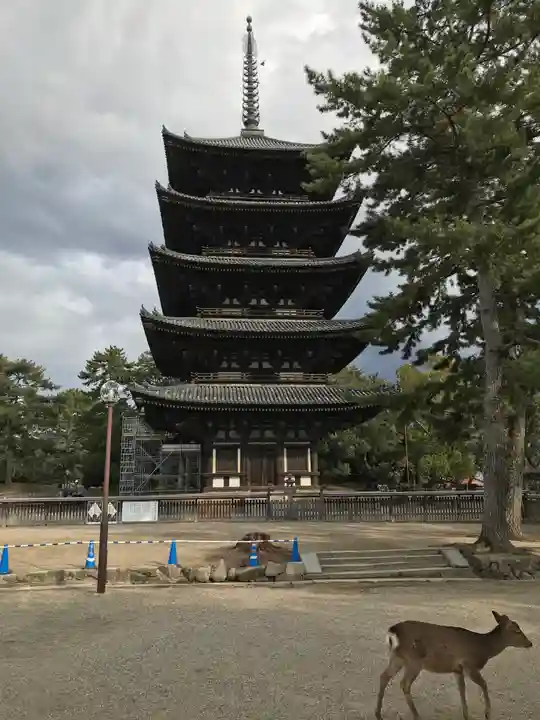 興福寺 南円堂のその他建物