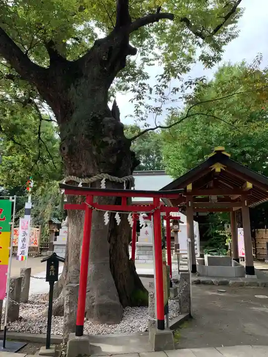 新田神社の鳥居