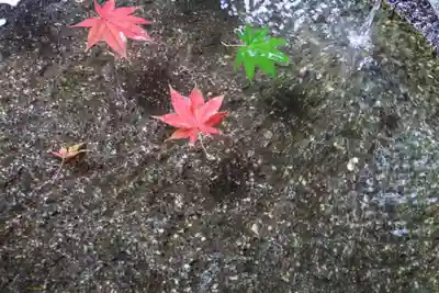 鹿島大神宮の手水舎