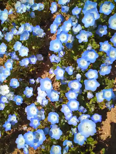 巳徳神社の周辺