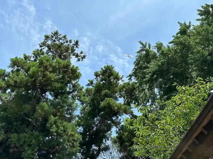 鎌数伊勢大神宮(千葉県)