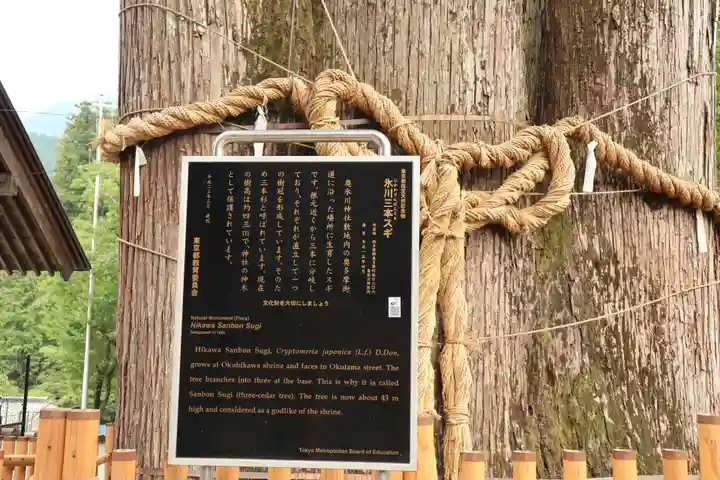 奥氷川神社(東京都)