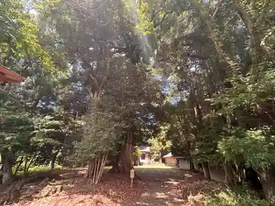 春日神社(福井県)