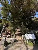 糸島市宇美八幡宮の{uncategorized: "未分類", other: "その他", undefined: "問題あり", building: "その他建物", grave: "お墓", sacred_gate: "鳥居", guardian: "狛犬", statue: "像", buddha: "仏像", history: "歴史", nature: "自然", garden: "庭園", animal: "動物", pagoda: "塔", temizu: "手水舎", mountain_gate: "山門・神門", sanctuary: "本殿・本堂", subordinate: "末社・摂社", art: "芸術", scenery: "景色", jizo: "地蔵", ema: "絵馬", goshuin: "御朱印", omikuji: "おみくじ", items: "授与品その他", amulet: "お守り", goshuincho: "御朱印帳", eats: "食事", festival: "お祭り", votive_dance: "神楽", shichigosan: "七五三参", wedding: "結婚式", experience: "体験その他", initially: "初詣", around: "周辺", anti_infection: "感染症対策"}