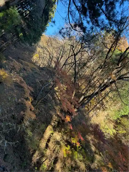榛名神社(群馬県)