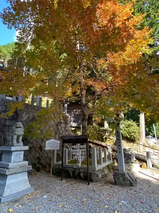 伊賀東照宮の自然