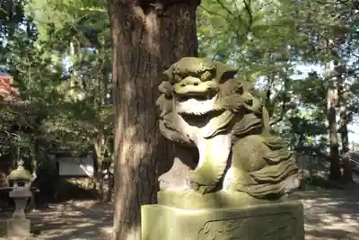 塙田八幡宮の狛犬