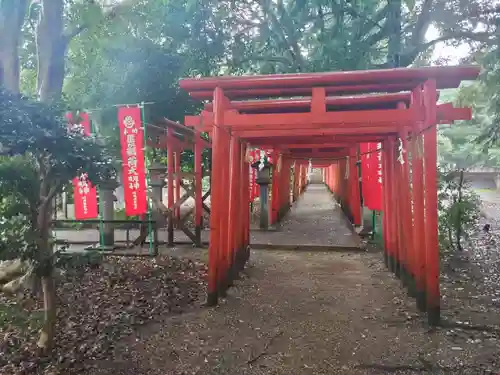 手力雄神社の鳥居