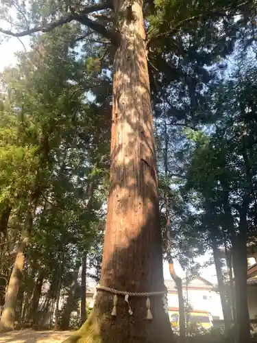 猿投神社(愛知県)