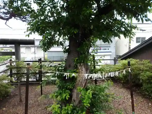 久慈大神宮のその他建物