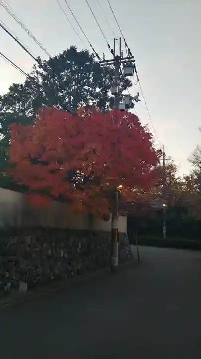 東福禅寺(東福寺)の自然