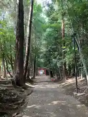 氷川神社(埼玉県)