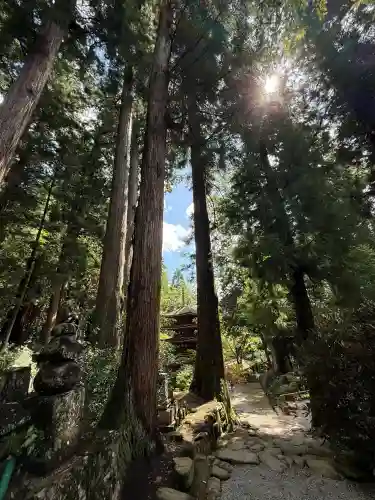 室生寺(奈良県)