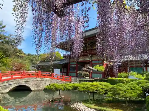 祐徳稲荷神社の庭園