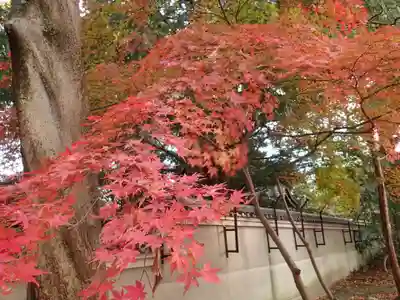 河俣神社の自然