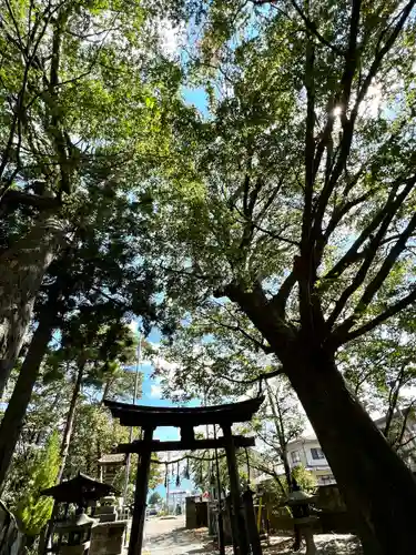 岩崎神社(長野県)