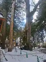 諏訪大社(長野県)