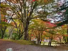 土津神社｜こどもと出世の神さま(福島県)