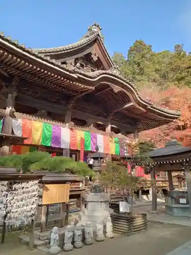 岡寺（龍蓋寺）(奈良県)
