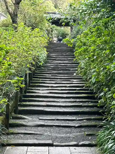 明月院(神奈川県)