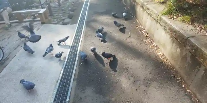 和樂備神社の動物