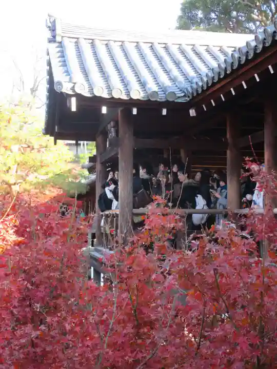東福禅寺(東福寺)(京都府)
