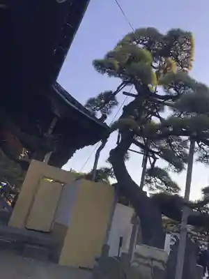題経寺(柴又帝釈天)(東京都)