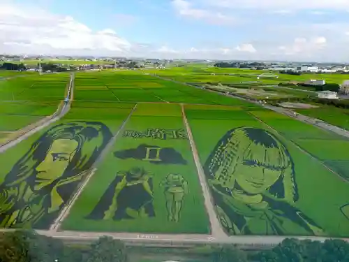 前玉神社(埼玉県)