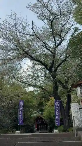 芝東照宮の御朱印