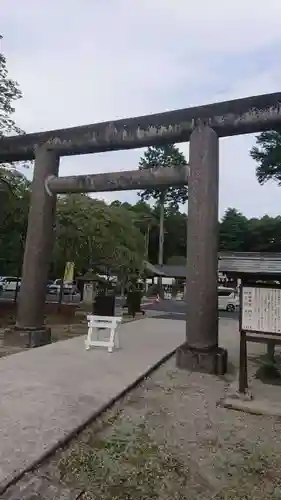 乃木神社の鳥居