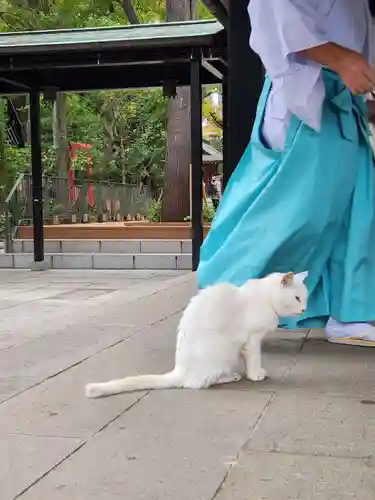 愛宕神社(東京都)