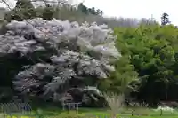 正一位稲荷神社の自然