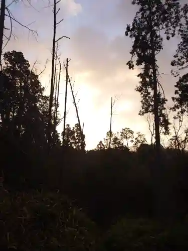 伏見稲荷大社(京都府)