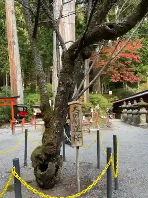日光二荒山神社(栃木県)