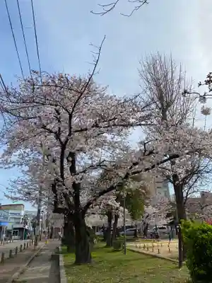 神明神社の自然
