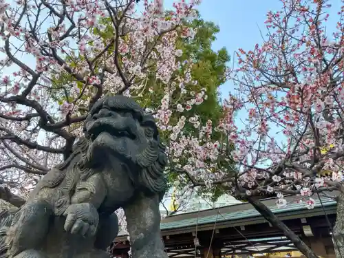 湯島天満宮の狛犬