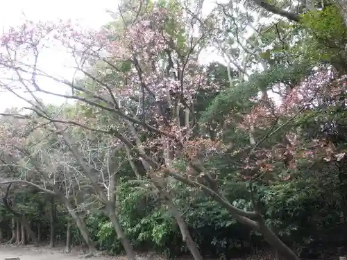 鶴岡八幡宮の自然