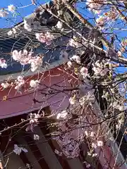 津島神社の自然