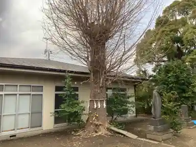天満宮(神奈川県)