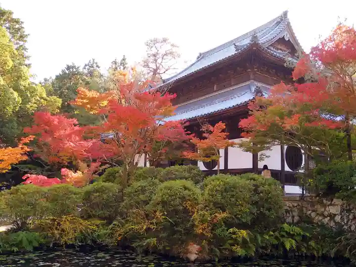井山 宝福寺の本殿・本堂