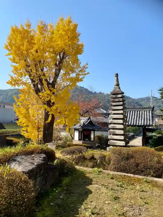 単伝庵のその他建物